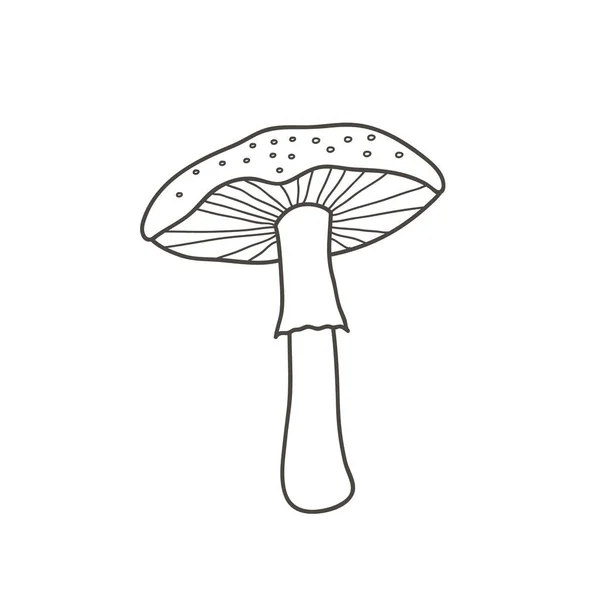 Desenho de cogumelos Amanita. Ilustração linear vetorial à mão em estilo doodle . — Vetor de Stock