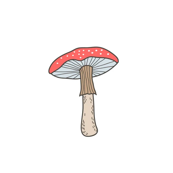 Cogumelo Amanita Cor Vetor Ilustração Desenhada Mão Estilo Doodle — Vetor de Stock