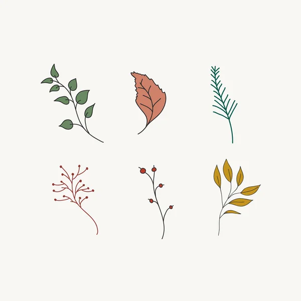 Sammlung Von Farbvektorpflanzen Freihand Doodle Botanische Illustration — Stockvektor