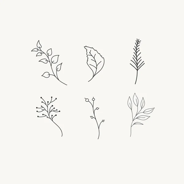 Verzameling Van Vectorplanten Vrijstaande Doodle Botanische Illustratie — Stockvector