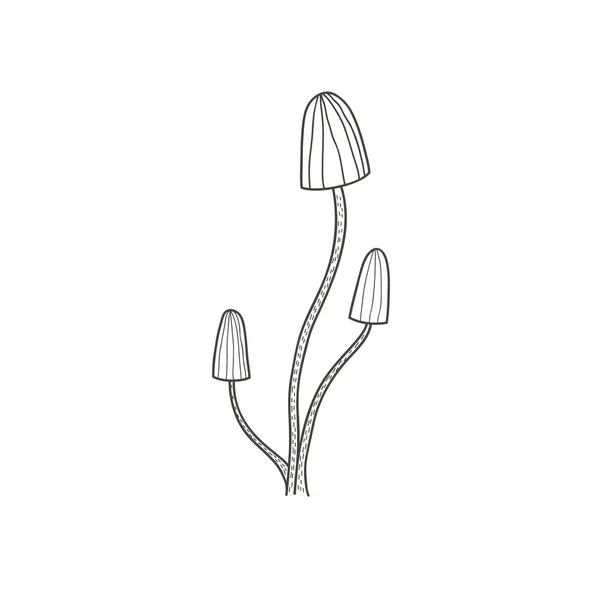 Desenho Cogumelos Ilustração Mão Livre Preto Branco Linear Estilo Doodle — Vetor de Stock