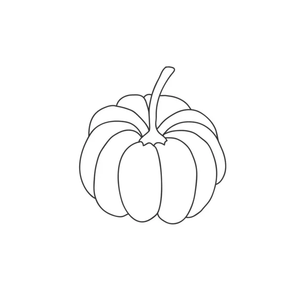 Pumpkin Linear Drawing Vector Freehand Illustration Doodle Style — Stock Vector