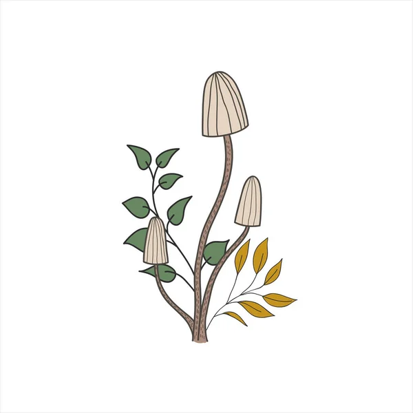 Champiñones y plantas con hojas. Ilustración de vectores de color. Dibujo a mano alzada — Archivo Imágenes Vectoriales