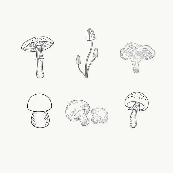 Conjunto de cogumelos. Ilustração vetorial de cogumelos no estilo doodle. Gravura em preto e branco. Amanita, champinhons — Vetor de Stock