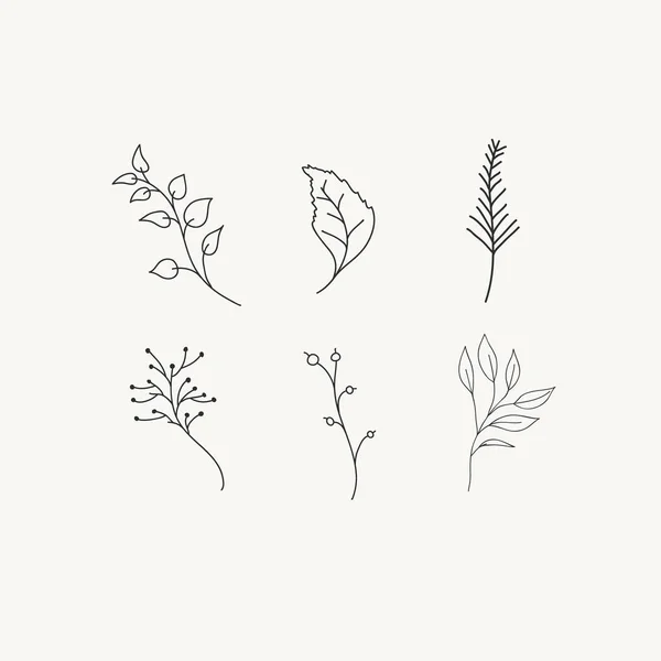 Sammlung von Vektorpflanzen. Freihand-Doodle botanische Illustration — Stockvektor