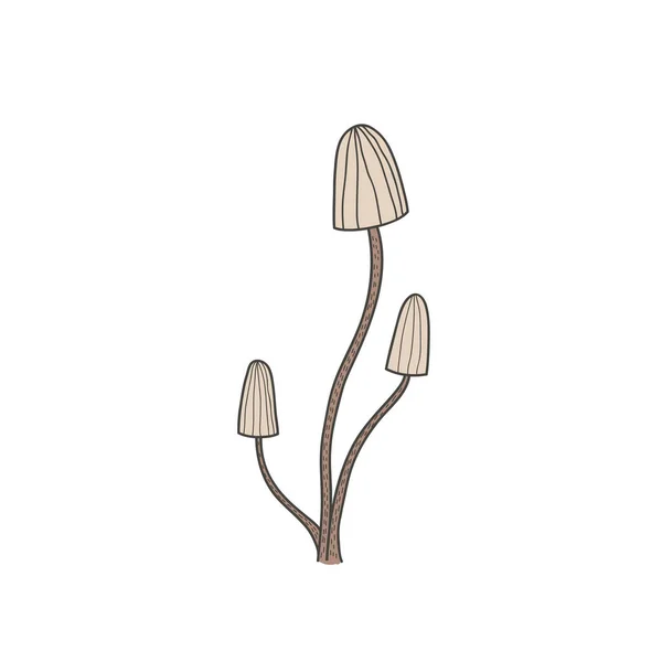 Desenho de cogumelos. Ilustração à mão livre de cor linear no estilo doodle — Vetor de Stock