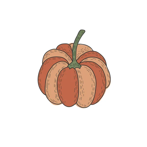 Orangenkürbis. Vektor Farbe handgezeichnete Illustration im Doodle-Stil — Stockvektor