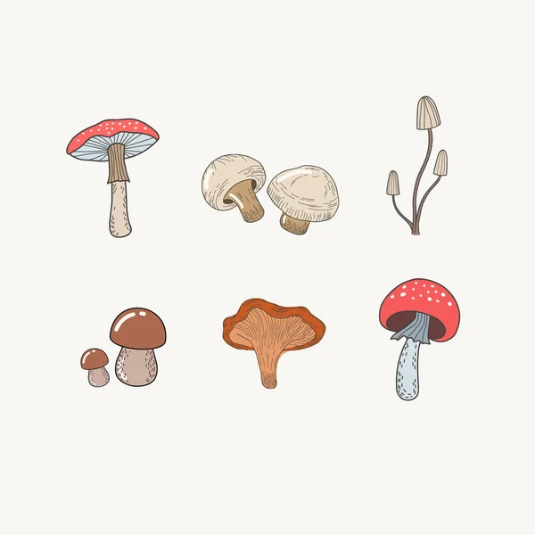 Conjunto de cogumelos. Ilustração a cores vetorial de cogumelos no estilo doodle. Gravação Amanita, champinhons — Vetor de Stock