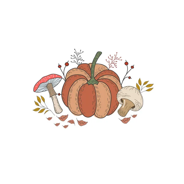 Illustrazione autunnale con zucca, funghi, foglie e bacche. Disegno a mano libera a colori vettoriale in stile doodle . — Vettoriale Stock