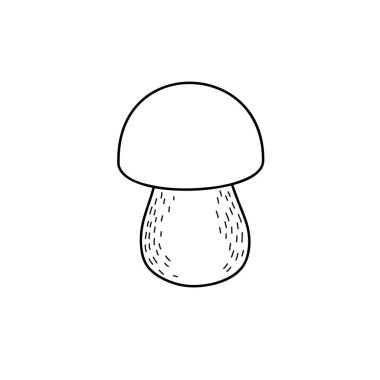 Bir mantarın vektör doğrusal çizimi. Doodle tarzı el yazısı çizimi.