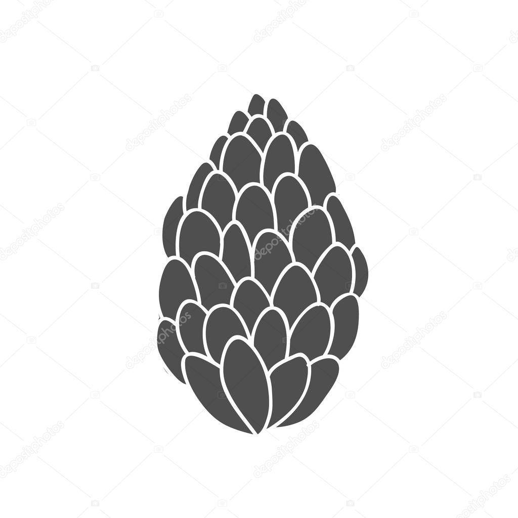 Illustration of a fir cone. Vector linear drawing by hand.Fir cone symbol