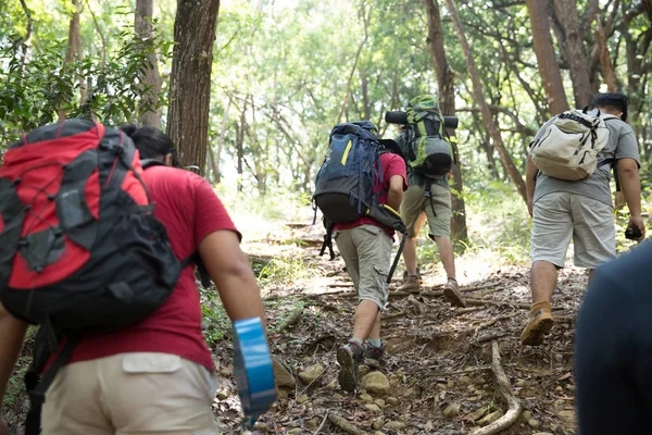 Vrienden wandelen in de zomer buiten activiteit — Stockfoto