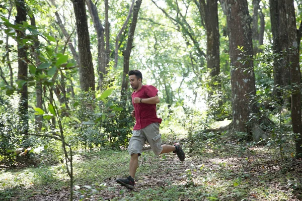 Man loopt in het bos — Stockfoto