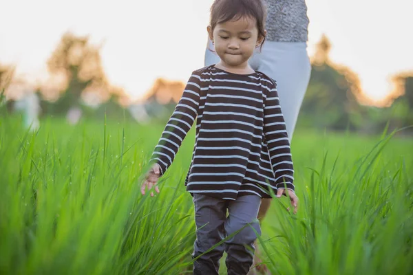 Asijské dítě těší v neloupanou rýži — Stock fotografie