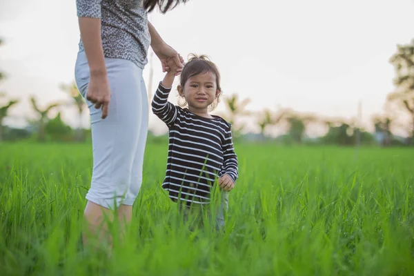 Preocupado asiático niño en paddy arroz — Foto de Stock