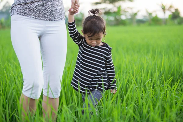 Asiatico bambino godendo in risone riso — Foto Stock