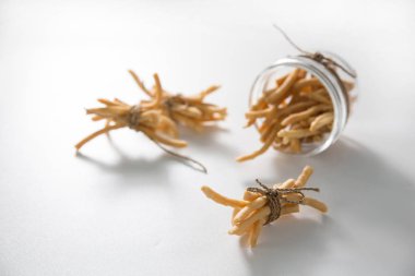 kue bawang veya sarımsak kraker