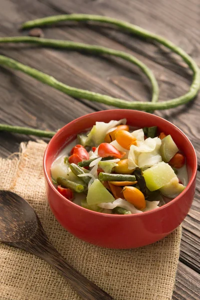 Traditional indonesian sayur lodeh — Stock Photo, Image