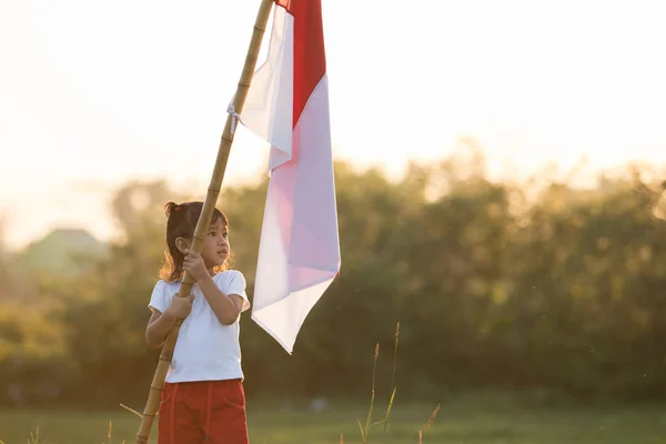 인도네시아 국기를 올리는 아이 — 스톡 사진