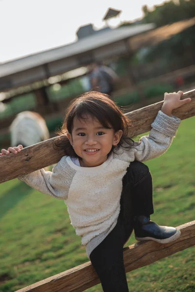 Primer plano pose un niño trepa valla de madera — Foto de Stock