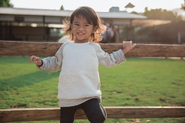 Poner una sonrisa de niño trepa valla de madera —  Fotos de Stock