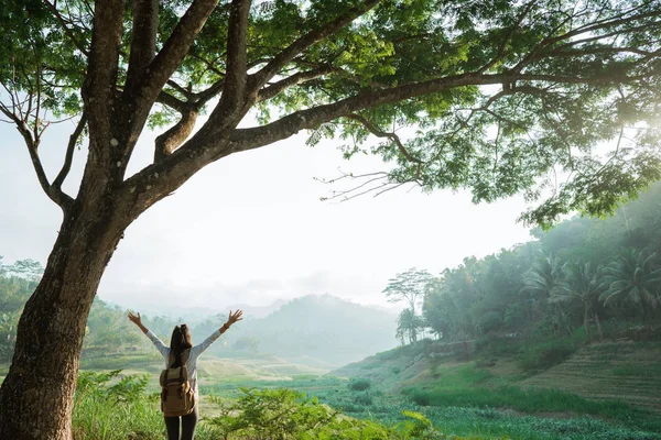 Mulher em um vale com um monte de árvores, levantar as mãos — Fotografia de Stock