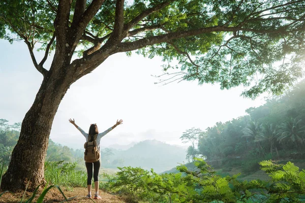 Femme dans une vallée avec beaucoup d'arbres, levez la main — Photo