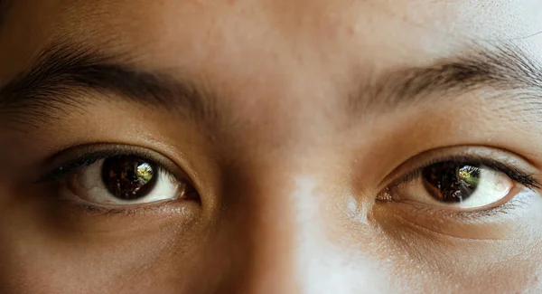 Detailní záběr makro oči — Stock fotografie
