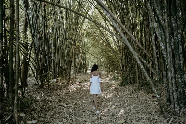 Exotic young asian woman in bamboo forest — Stock Photo, Image