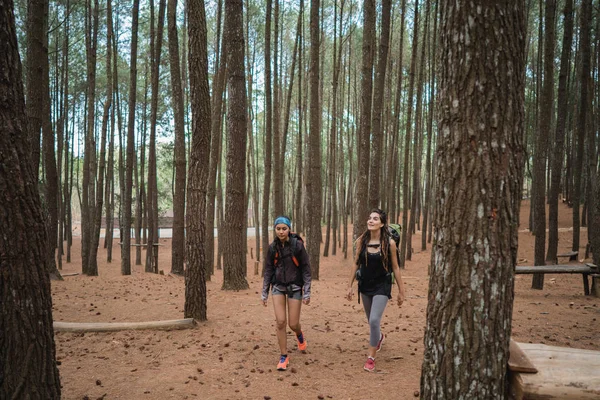 山の美しい自然の風景の中を歩いて つの若い女性のハイカー — ストック写真