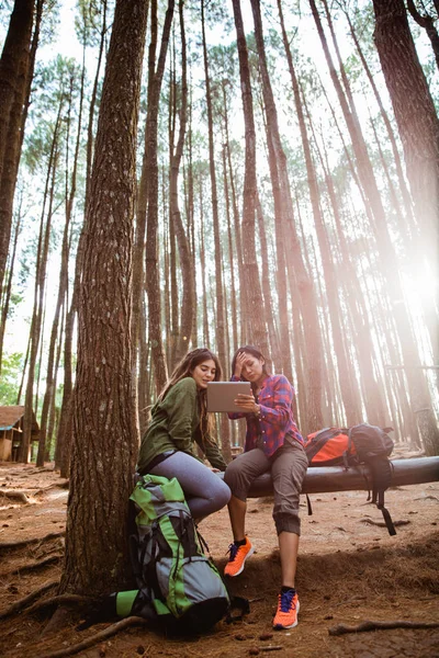 Turysta za pomocą tabletu podczas relaksu w pine wood forrest — Zdjęcie stockowe