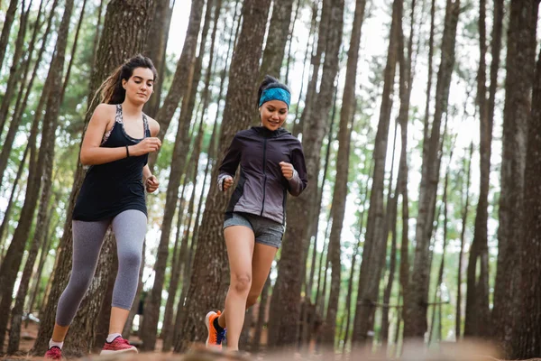 2 つのスポーティな女性が森で走った — ストック写真