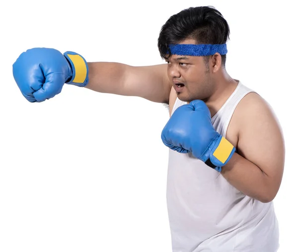 Portrait of fat young boxer warms up — Stock Photo, Image