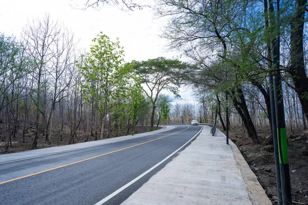 Countryside road surrounded by trees — Stock Photo, Image