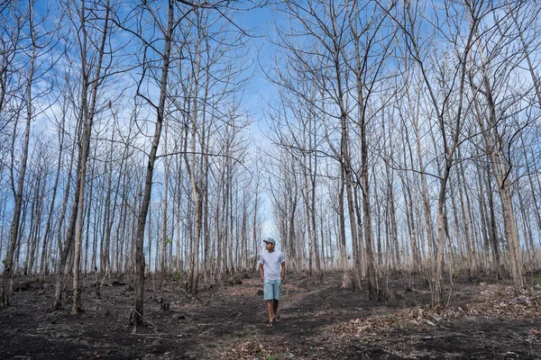 Manliga stående i skogen med avlövade träd — Stockfoto