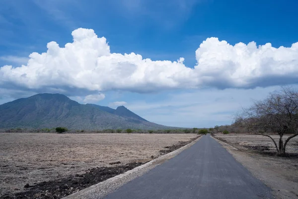 Beautiful savanna landscape in Baluran Banyuwangi indonesia — Stock Photo, Image