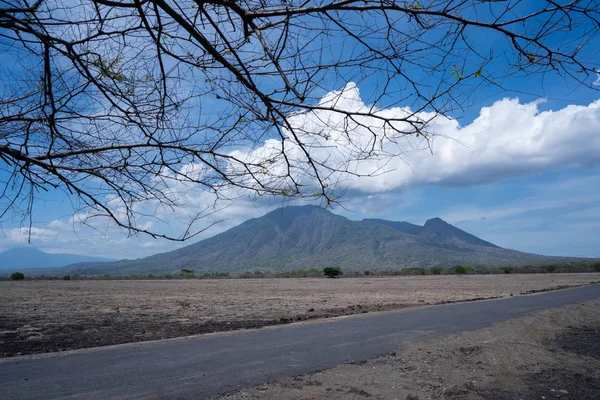 Piękny sawanny krajobraz w Baluran Banyuwangi Indonesia — Zdjęcie stockowe