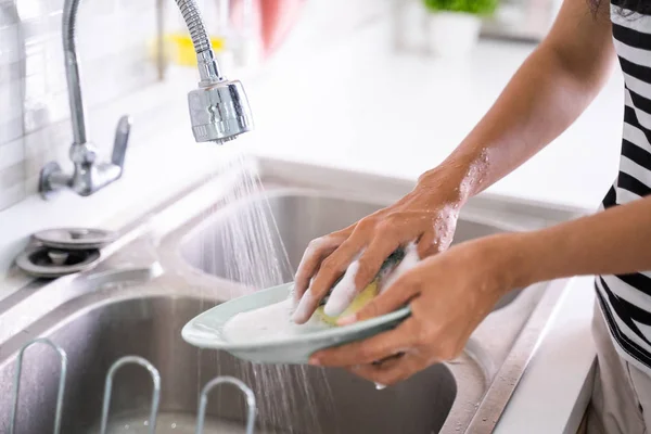 hand washing a plate on a sink