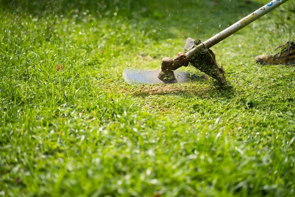 Hombre segando su propio jardín — Foto de Stock