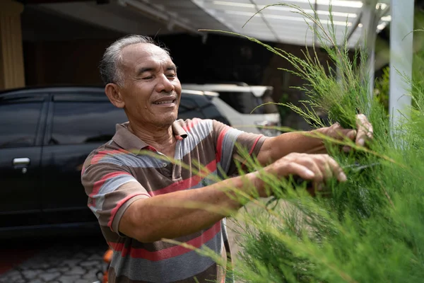 Senior maschio asiatico giardinaggio e rifilatura off foglia — Foto Stock