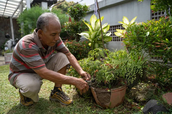 Starší muž asijské zahradnictví a ořezávání mimo list — Stock fotografie