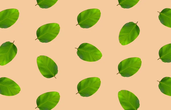 Pattern of green leaves — Stock Photo, Image