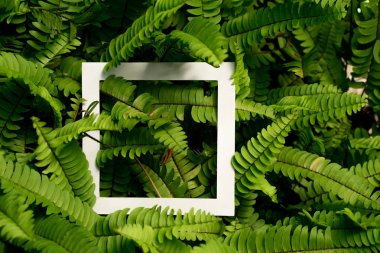 tropikal yaprak desen ile boşaltmak