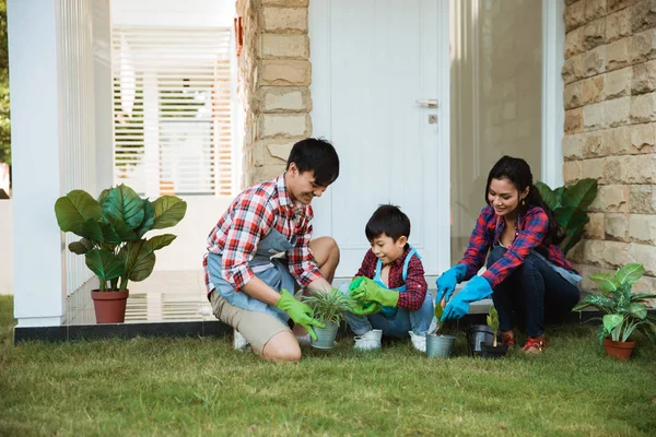 Famille et enfant pulvérisation d'eau une jeune plante dans le pot à la maison — Photo