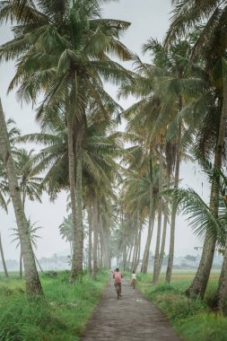 baba ve oğul bisiklet ülke yol binmek