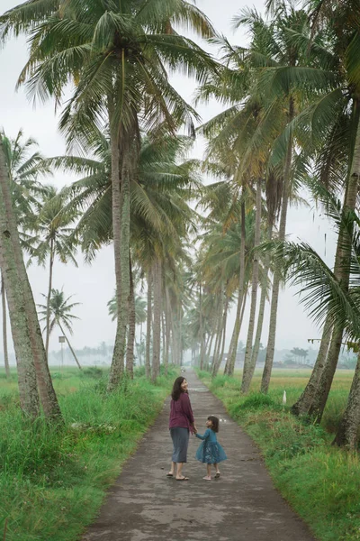 Coconut Country Road — Stockfoto