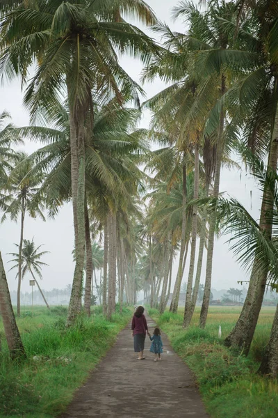 Mamá e hija caminan en camino de campo de coco —  Fotos de Stock