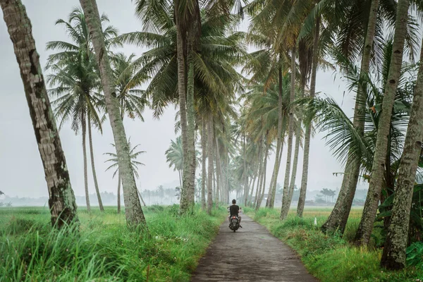 Motorcycle in coconut tree country road — Stock Photo, Image