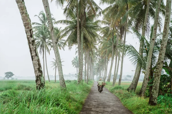 Motorcycle in coconut tree country road — Stock Photo, Image