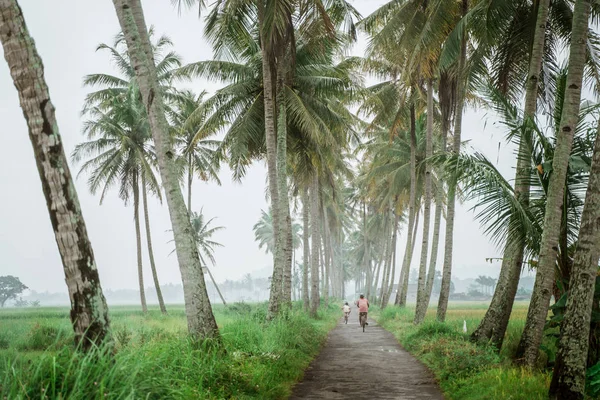 Father and son ride bicycle country road — Stock Photo, Image